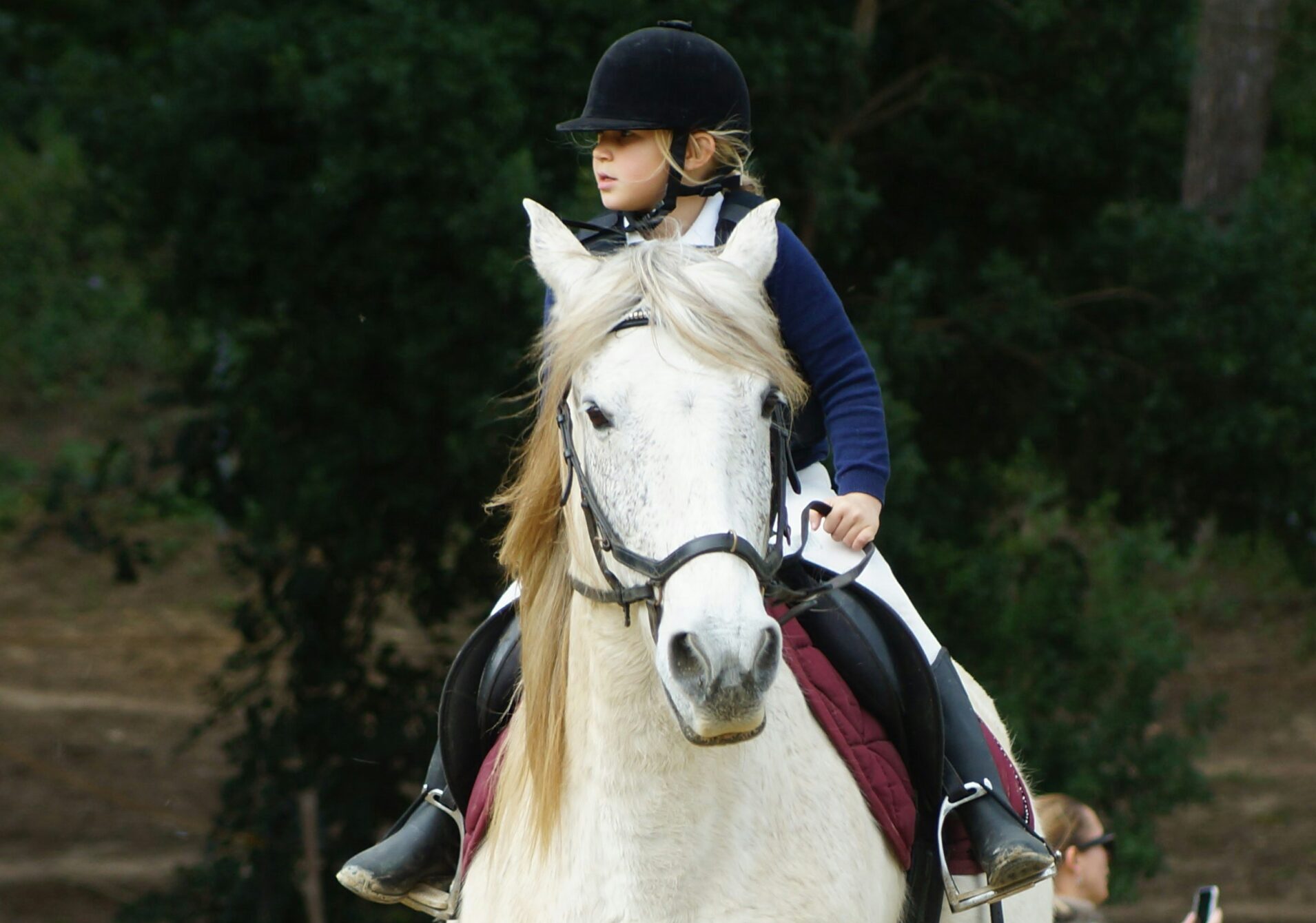 Image of six partner charities in the Better Together for Healthy Bone Marrow partnership, evaluated by Insley Consulting